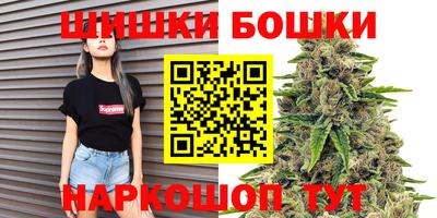 сатива Гай