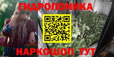 mdpv Гатчина