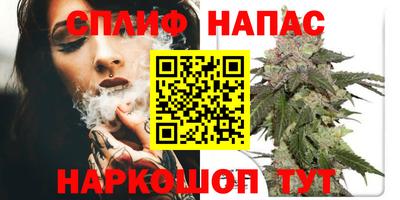 mdpv Гатчина