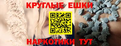 сатива Гай