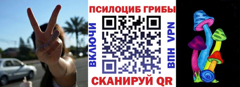 Галлюциногенные грибы Psilocybe  кракен сайт  Коркино  где найти  