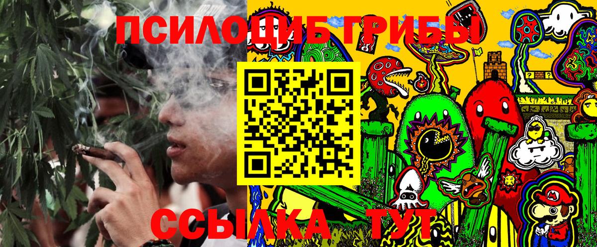 Галлюциногенные грибы мицелий Коркино